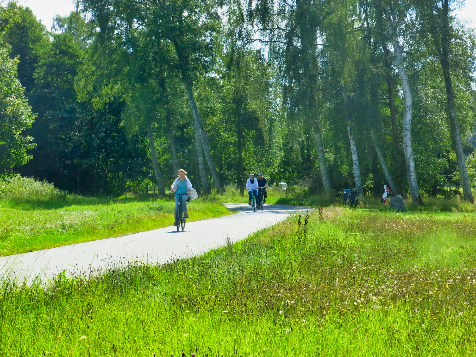 Busbjerg